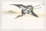 Eastern Common Crane illustration. Digitally enhanced from our own original edition of Pictorial Monograph of Birds (1885) by Numata Kashu (1838-1901).